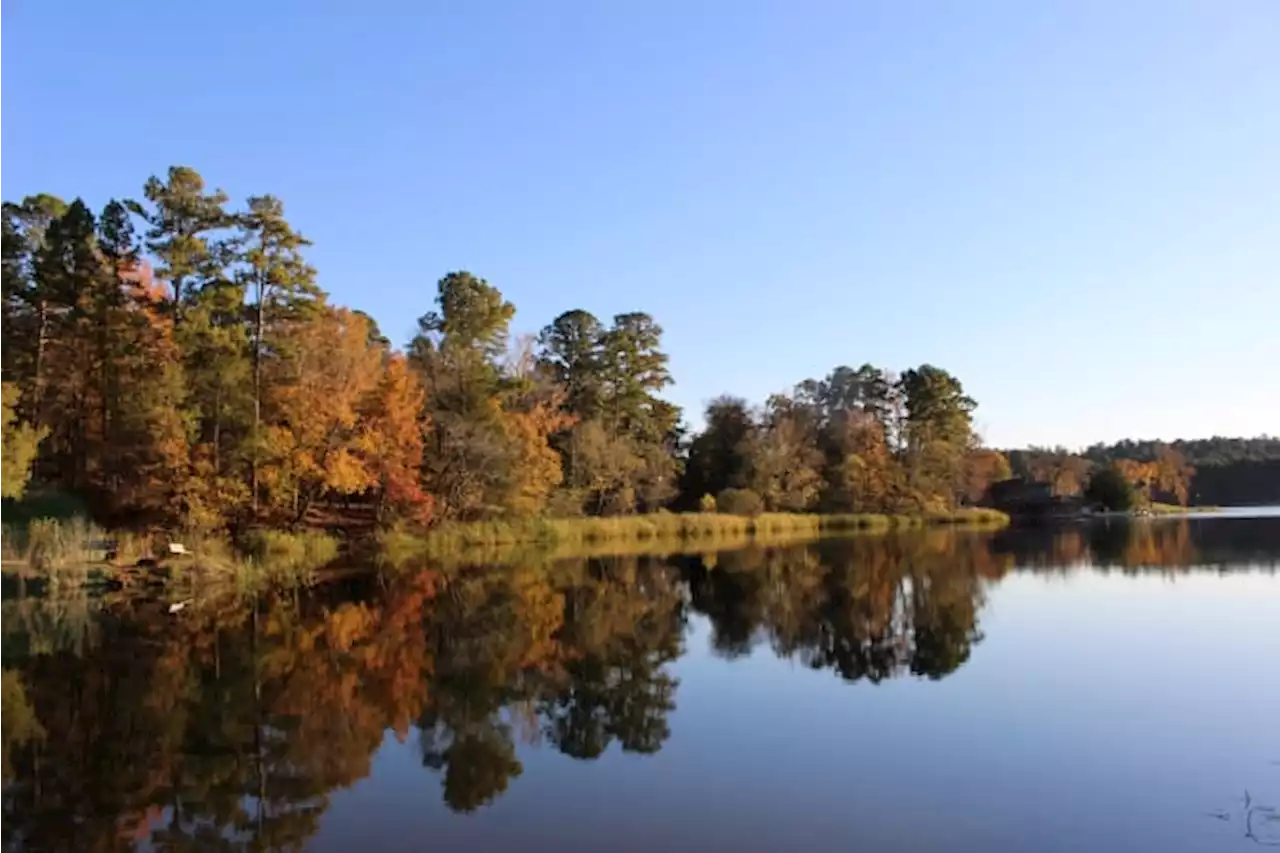 Photos show picturesque fall foliage at Texas State Parks