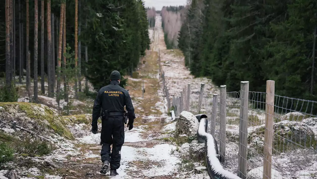 La Finlande détaille son projet de barrière avec la Russie