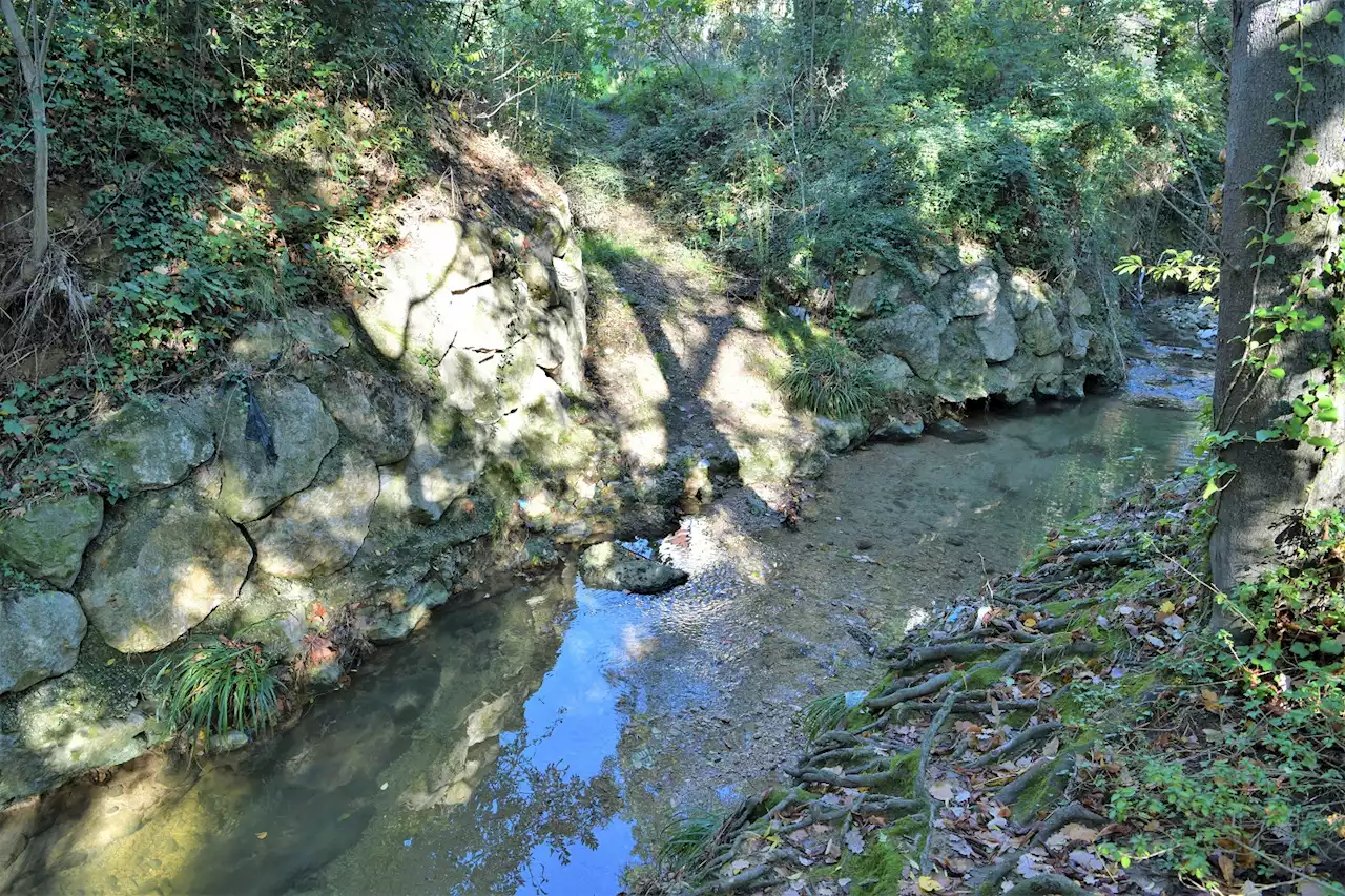 Le ruisseau du Jarret doit retrouver la santé au Nord de Marseille