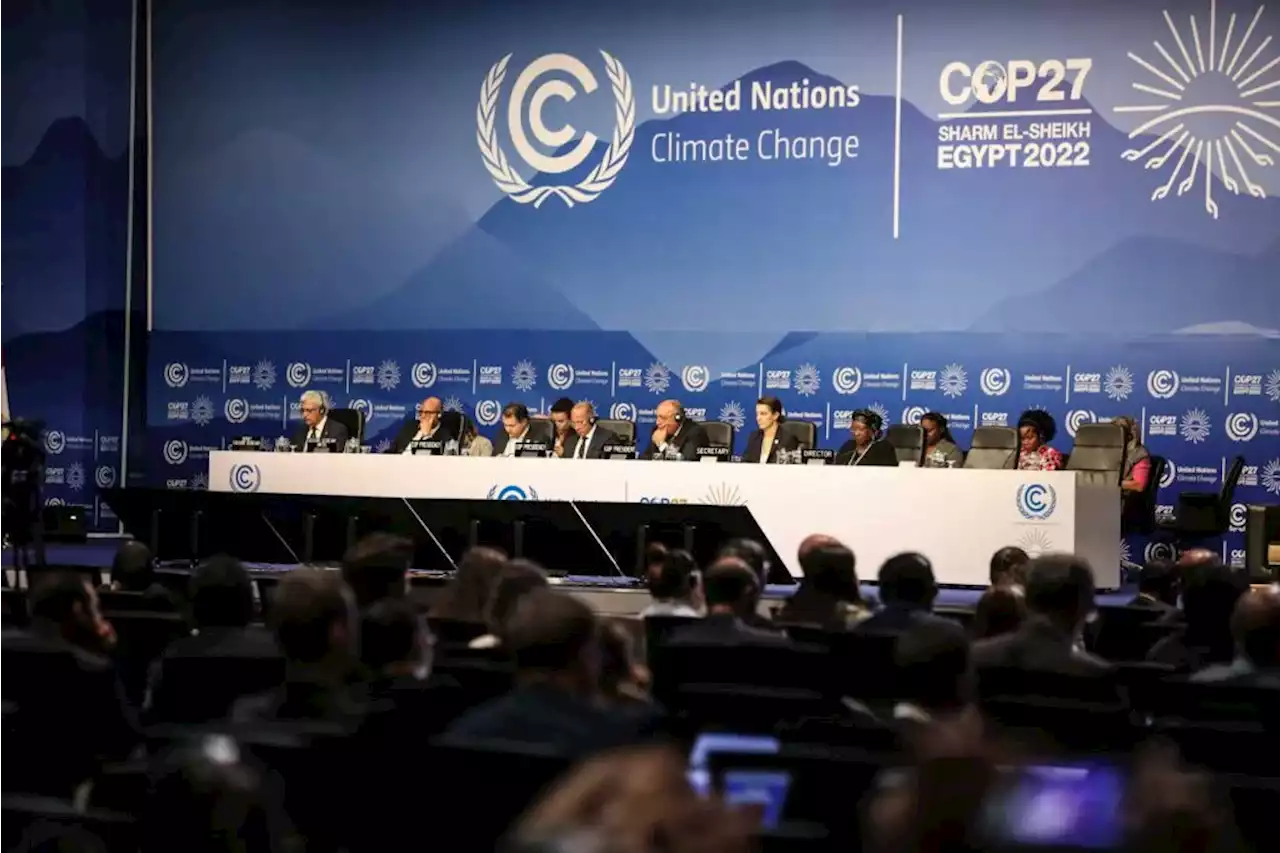 Last push for consensus as COP27 draws to a close