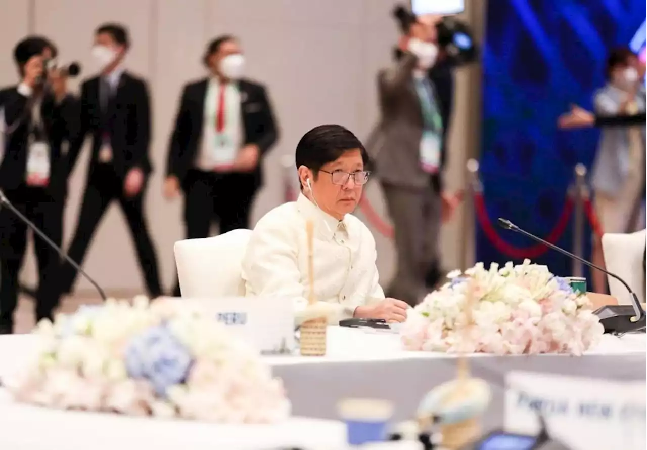 Marcos calls on APEC leaders: Shipping, logistics sectors need attention