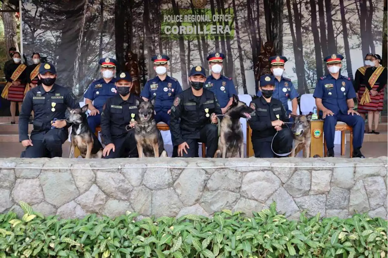 PROCOR honors four retiring Belgian police dogs