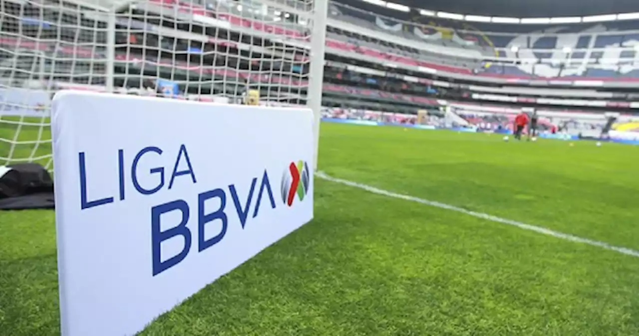 Implementan Fan ID en la Liga MX