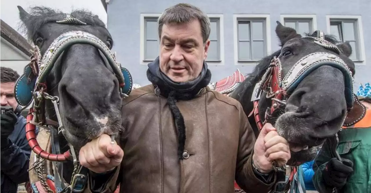 Markus Söder spricht auf dem Rossmarkt 2023 in Berching