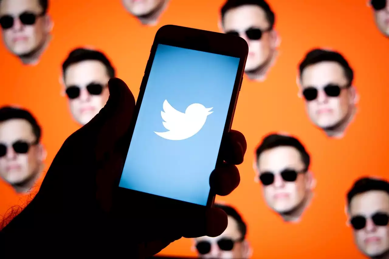 Disabled Twitter employees resigned because they felt they 'couldn't keep up' with Musk's 'hardcore' drive | Businessinsider