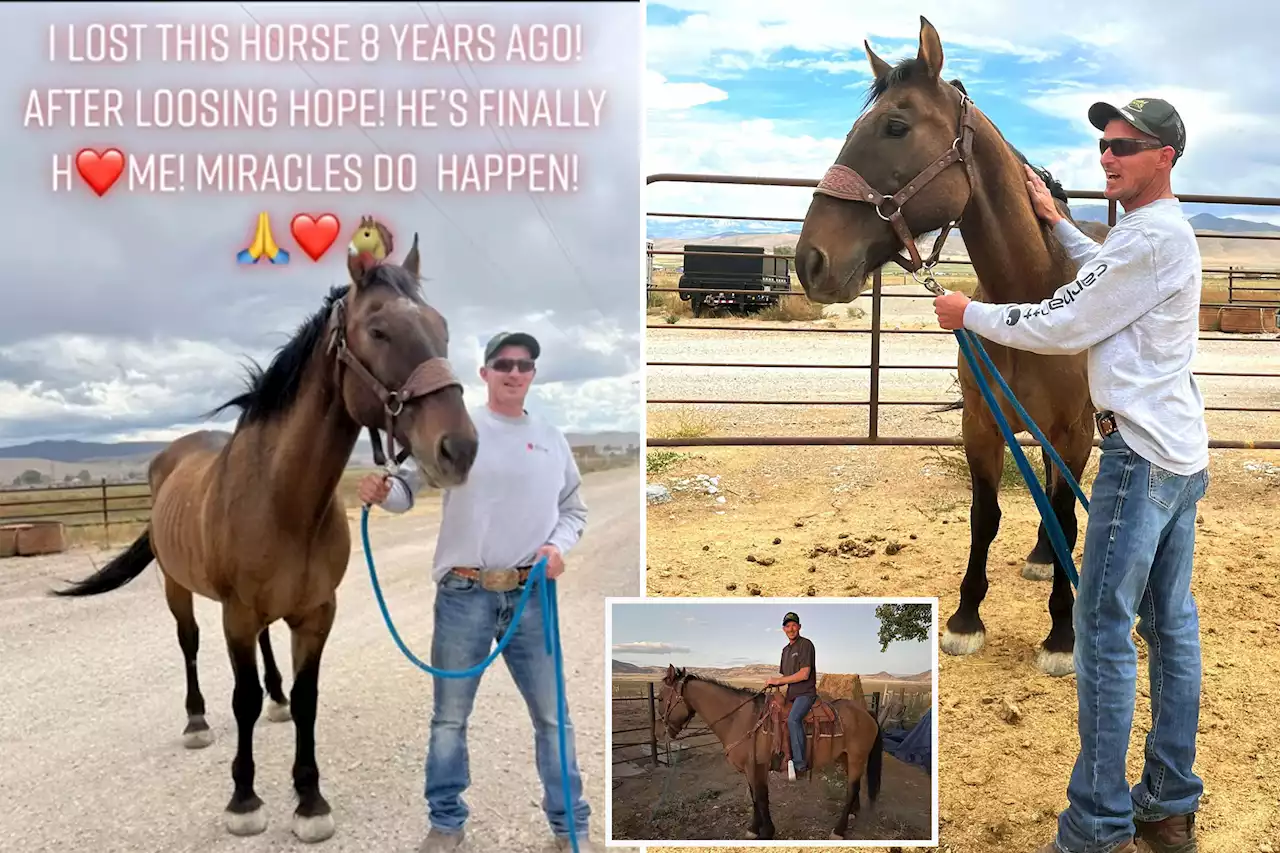 Utah horse returns to owner after 8 years of running with wild mustangs: ‘It’s a miracle’