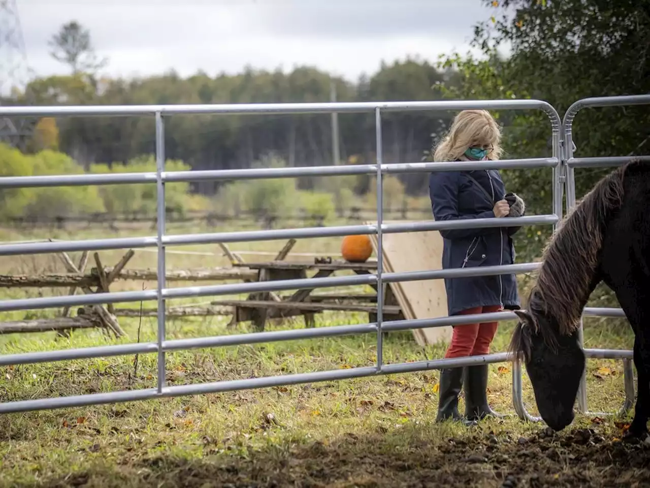 Ottawa's Indigenous Experience’s Mādahòkì Farm sharing new federal cash for woman-owned tourism businesses