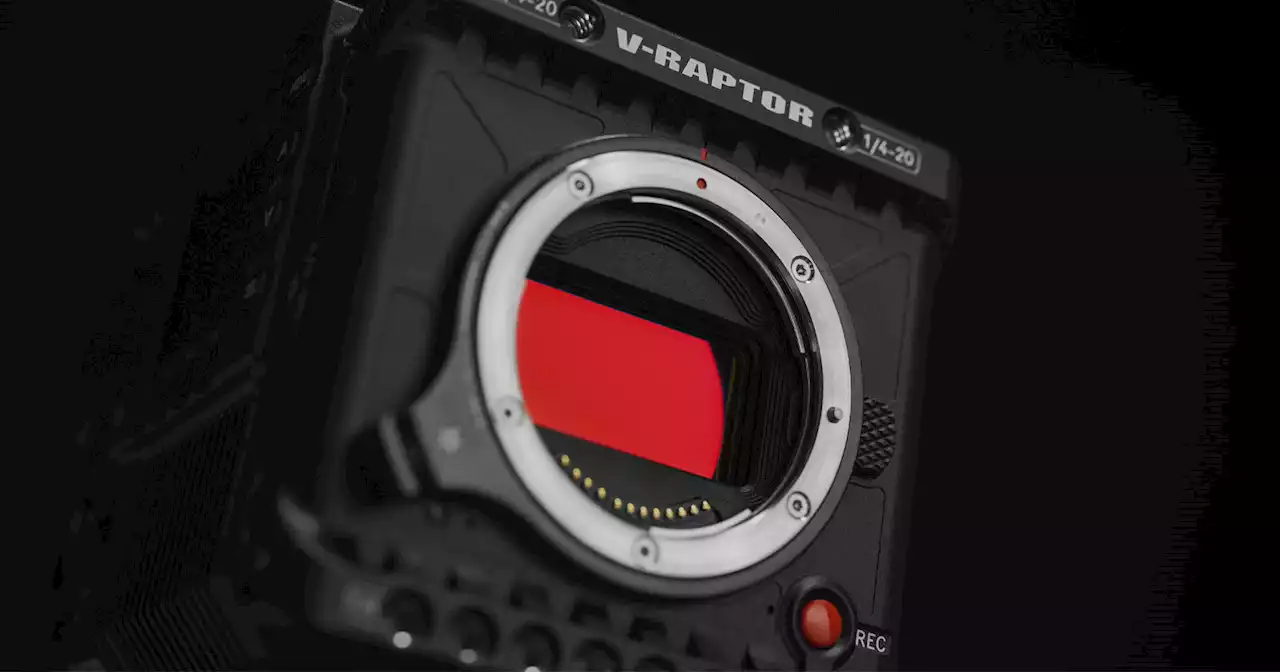 RED Uses the RF Mount, So Why Won't Canon License it for Lenses?