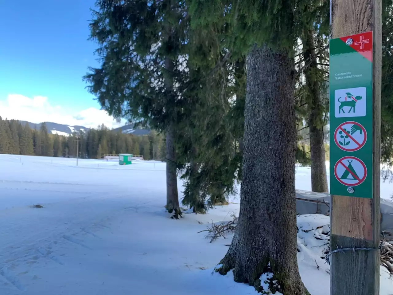 Kanton Obwalden: Zum Schutz der Wildtiere – Hunde müssen an die Leine