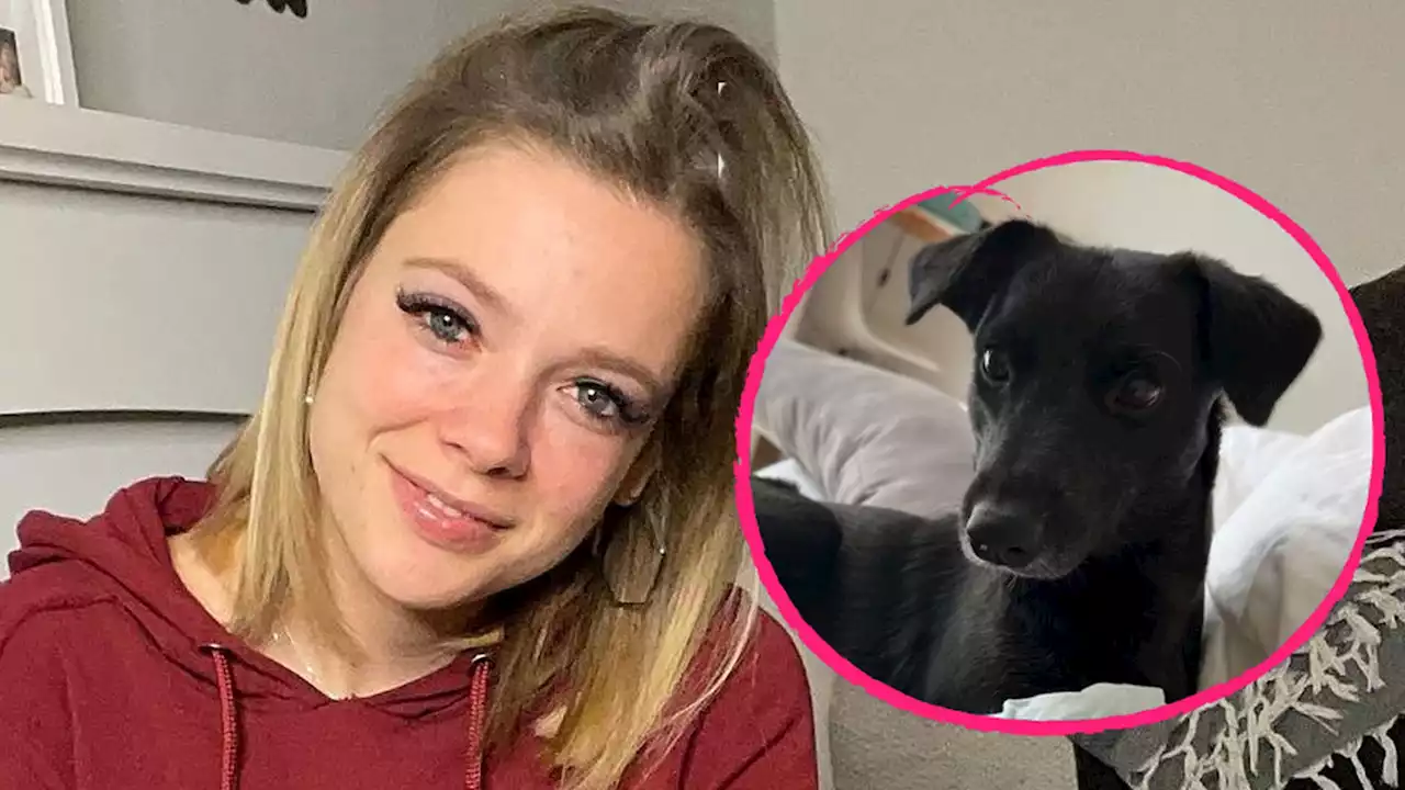 Anne Wünsche bestätigt: Sie gibt ihren Hund Dobby weg!