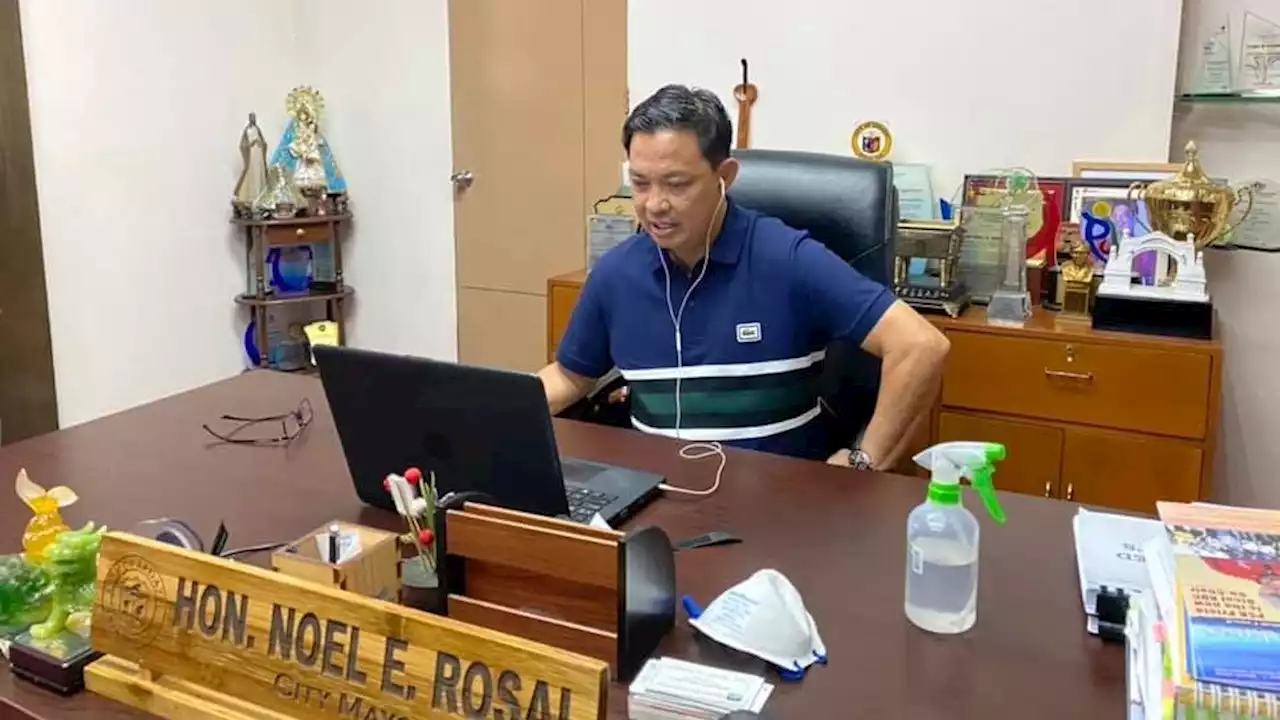 Comelec denies Albay Governor Rosal's plea to reverse disqualification