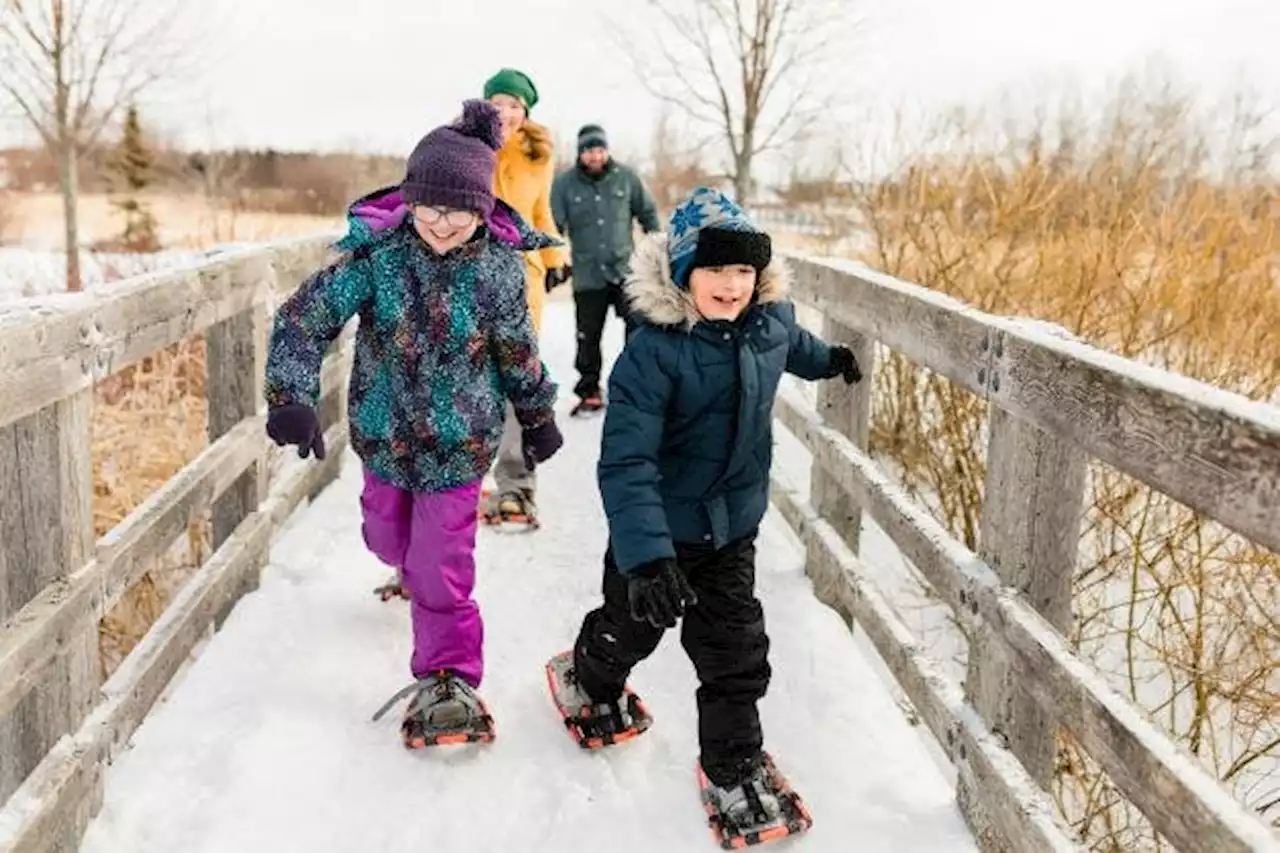 Yuletide Village festival planned for Summerside's Memorial Park in December | SaltWire