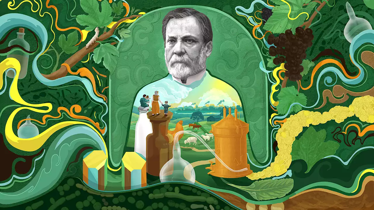 Louis Pasteur, born 200 years ago, transformed public health forever