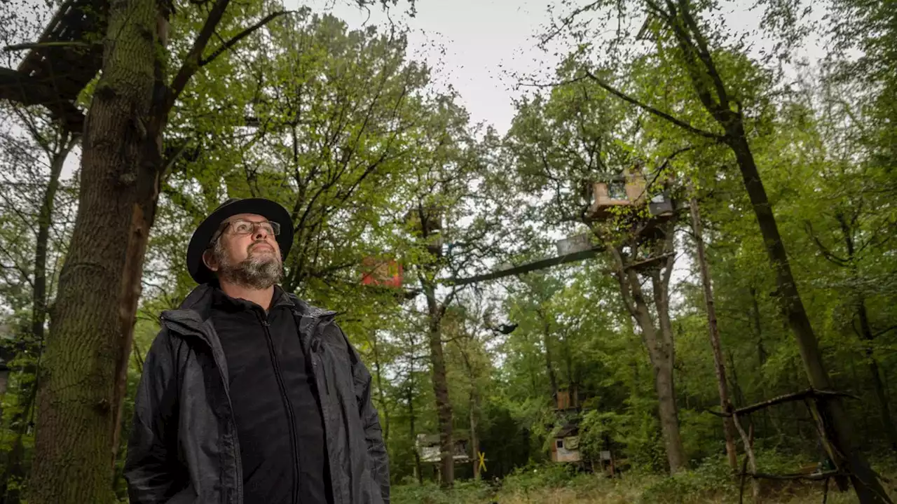 Dem Hambacher Forst droht der Tod: Der Wald trocknet aus(stern+)