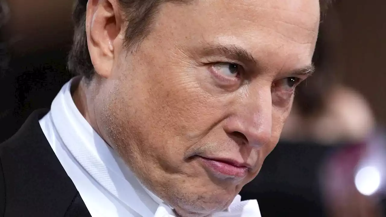 'Space Karen' und 'gesetzloser Oligarch' – Protest gegen Elon Musk nimmt zu, Angst vor Twitter-Ausfall wächst