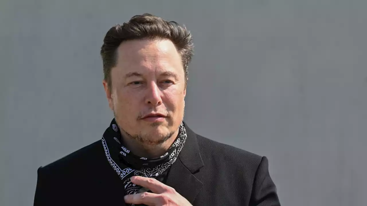 Twitter unter Musk: Exodus nach „Hardcore“-Arbeitsansage