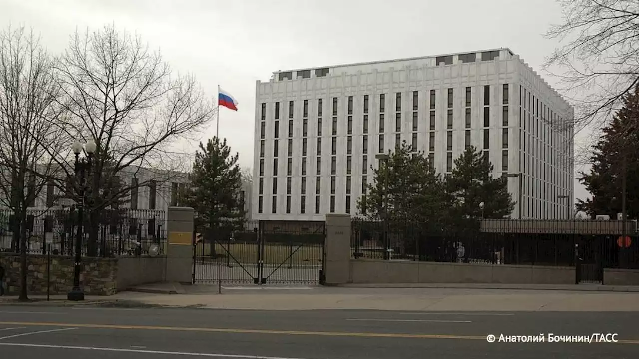 В посольстве России в США заявили о продлении зерновой сделки не из-за внешнего давления