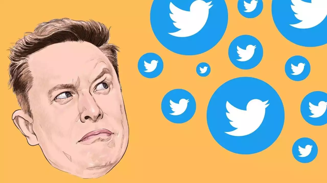 Live blog: Twitter chaos - Elon Musk makes some big policy moves