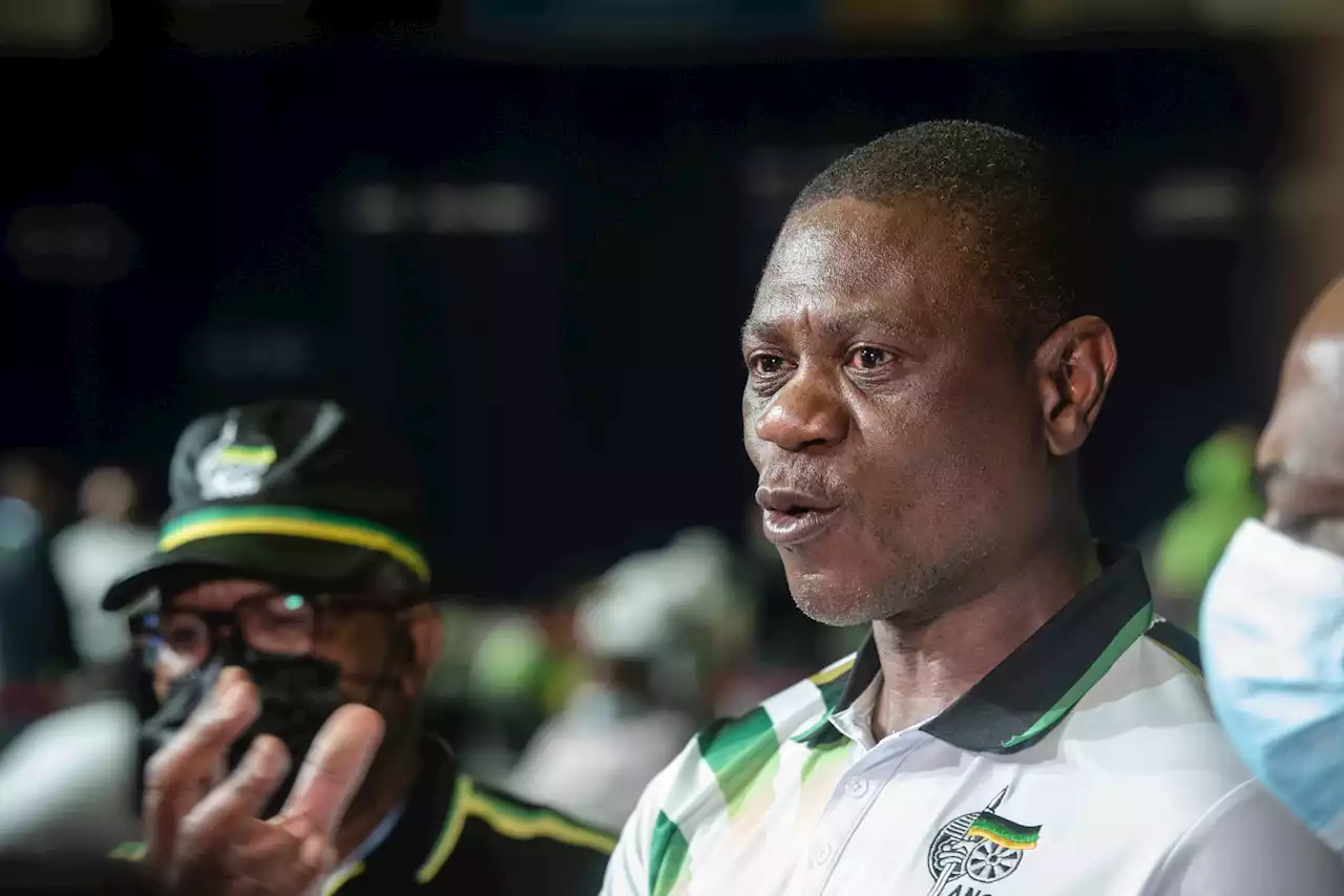 Limpopo ANC not pleased with inclusion of Mashatile in slate backing Ramaphosa | The Citizen