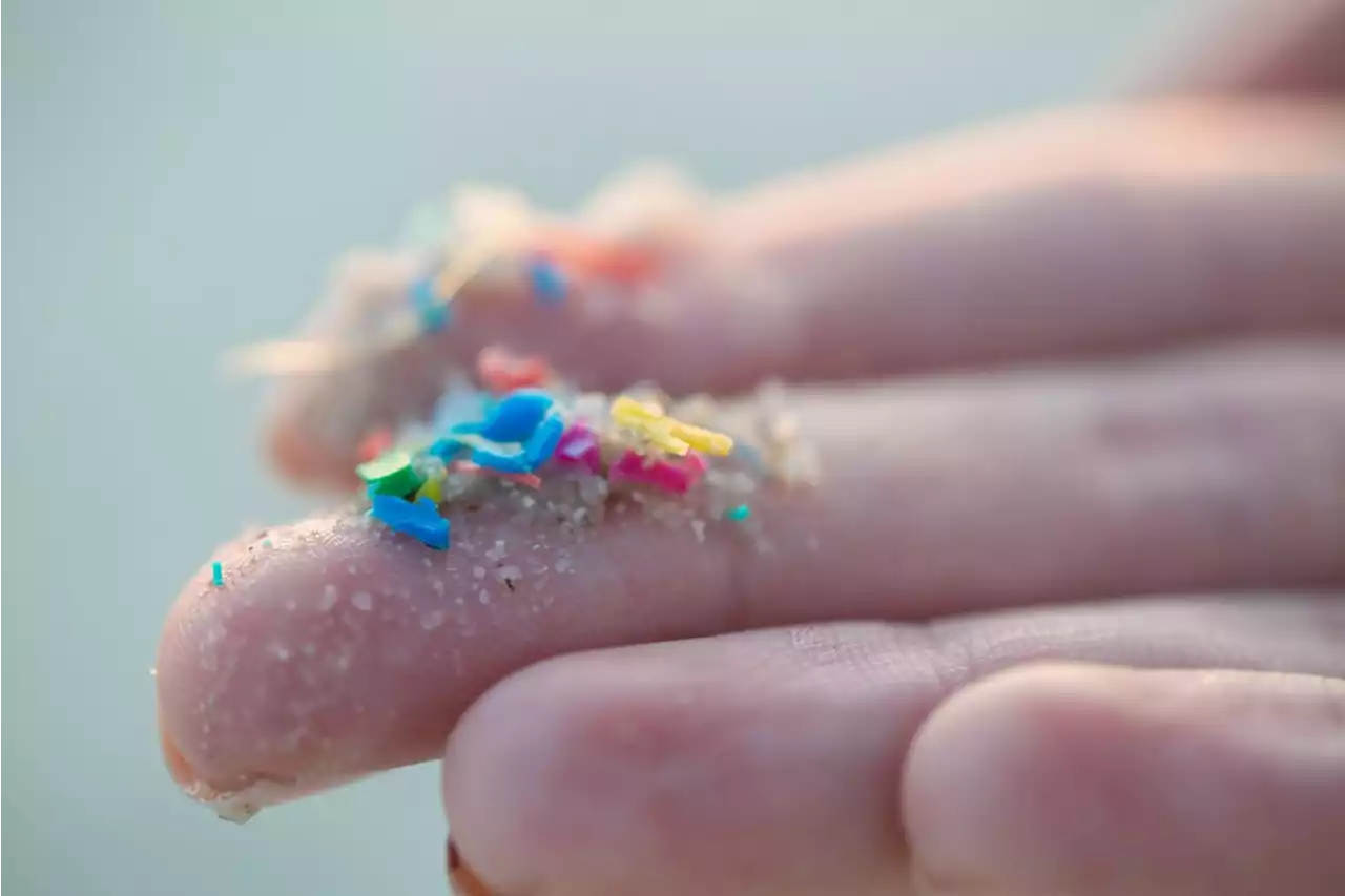 Gentle wash cycles could reduce your microplastic habit by 70%, finds B.C. lab