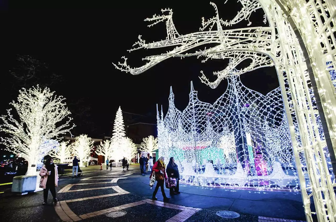 Lights of Wonder to return to Centennial Square for holiday season