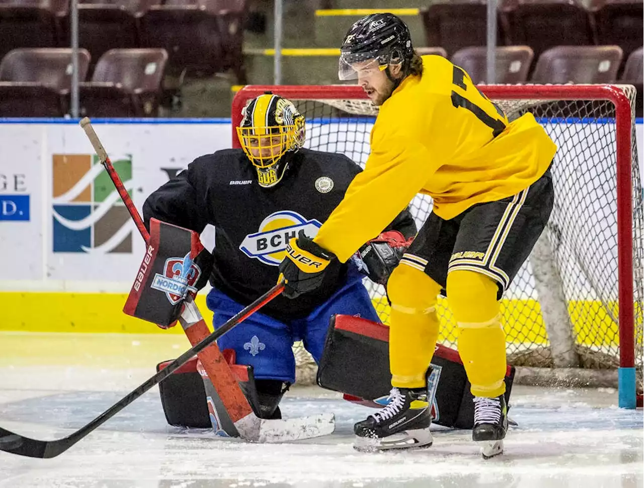 Memorial Cup-champion Picard turning heads in BCHL with Victoria Grizzlies