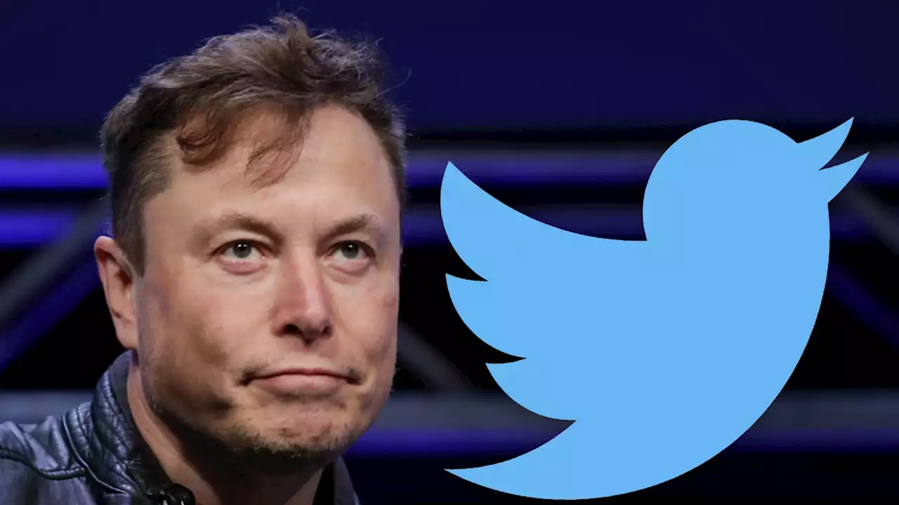 Elon Musk Says Twitter Hit All-Time High During Shutdown Panic