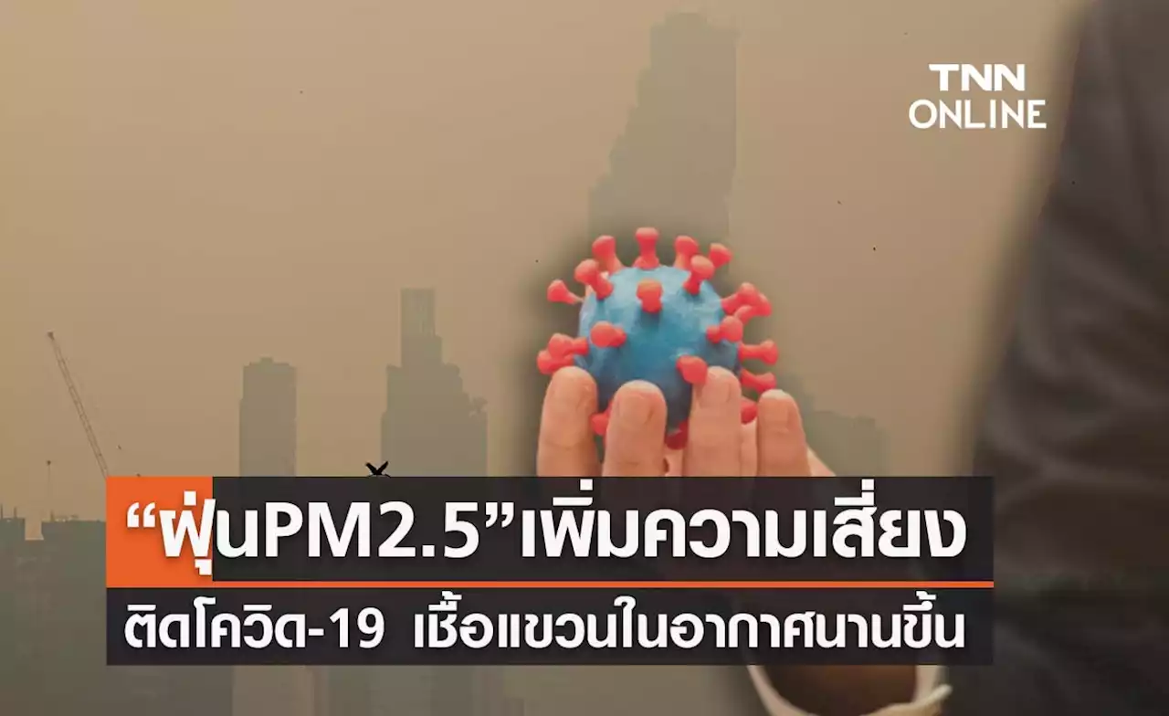 หมอธีระเผยข้อมูล “ฝุ่นPM2.5” เพิ่มความเสี่ยงต่อการติดเชื้อ “โควิด-19”