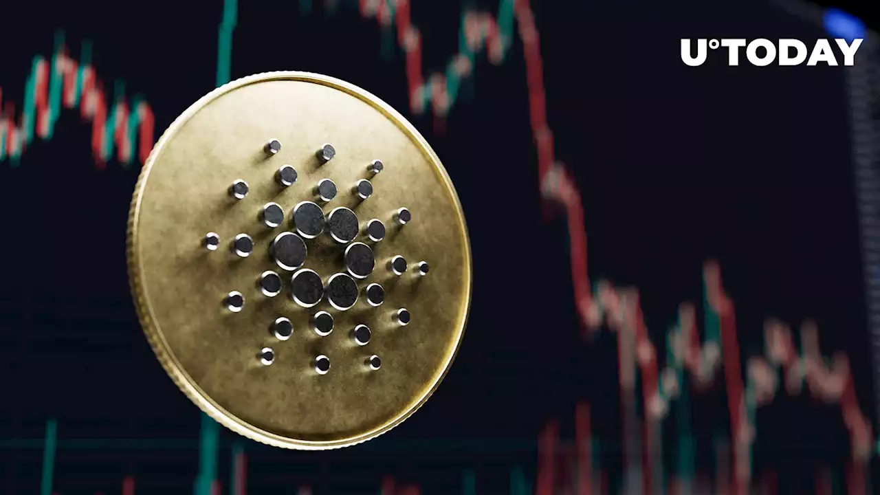 Prominent Trader Sees Cardano (ADA) Collapsing to $0.16