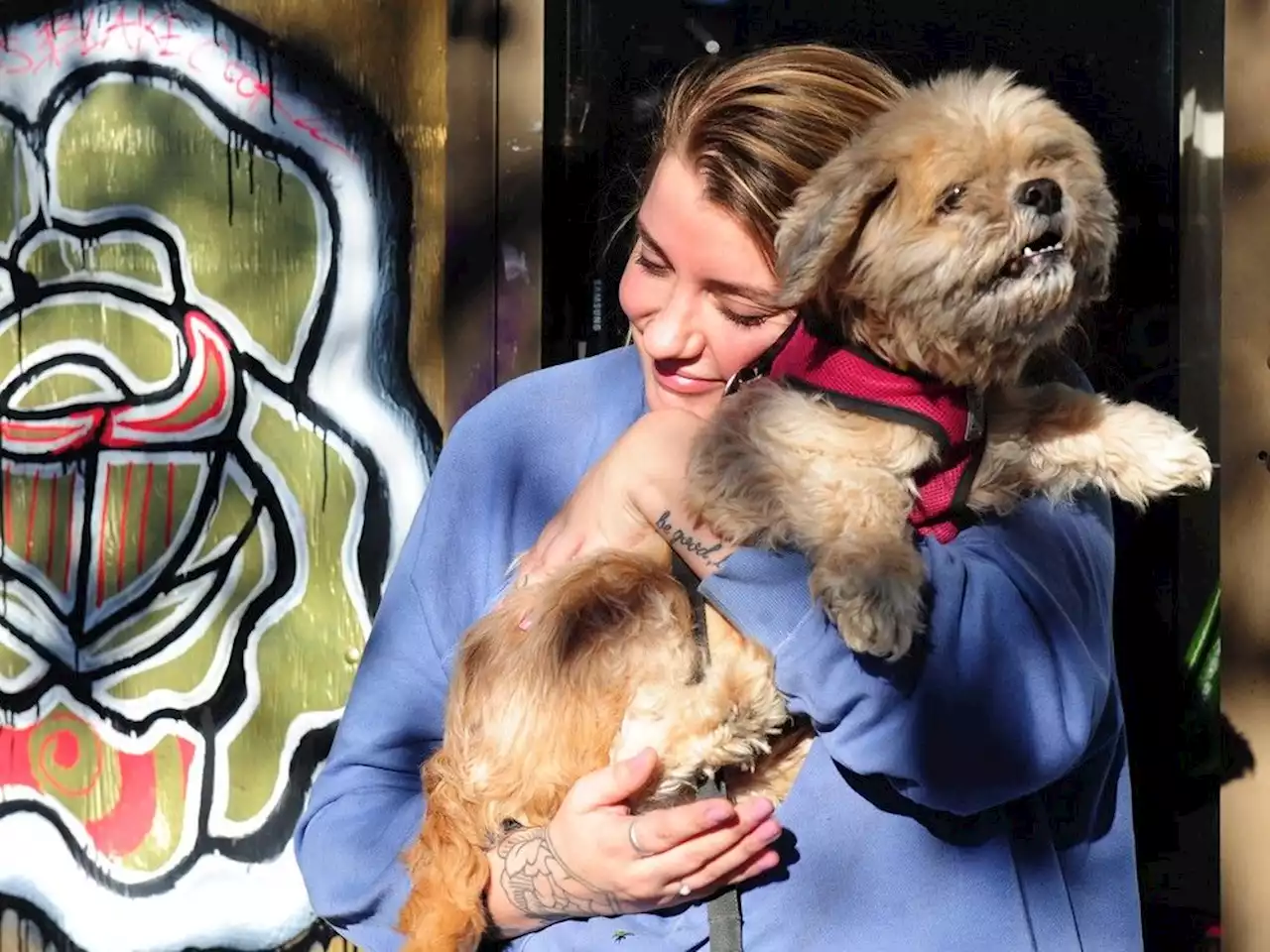 Downtown Eastside pet food bank keeps furry friends fed