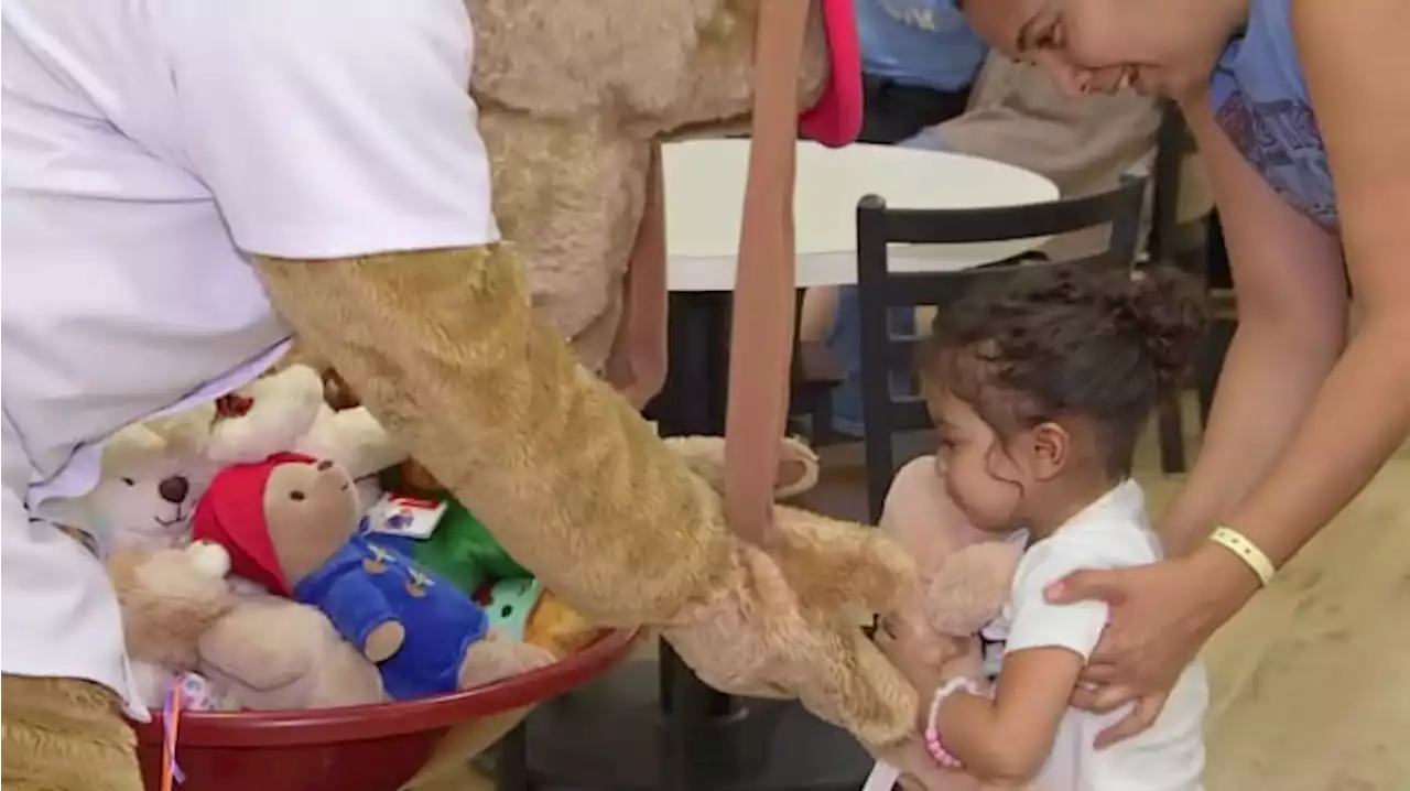 ‘Teddies for Tykes’: Stuffed bears bring smiles to children at Ronald McDonald House