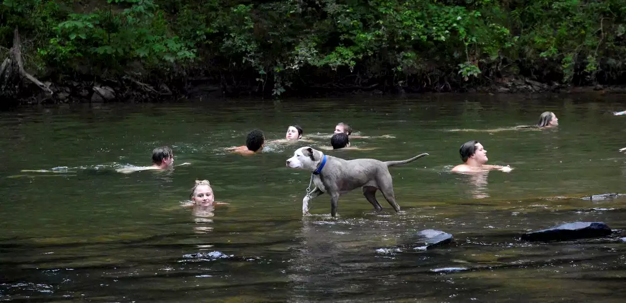 Birmingham Water Works Board awaits trial with environmental groups over city’s watershed