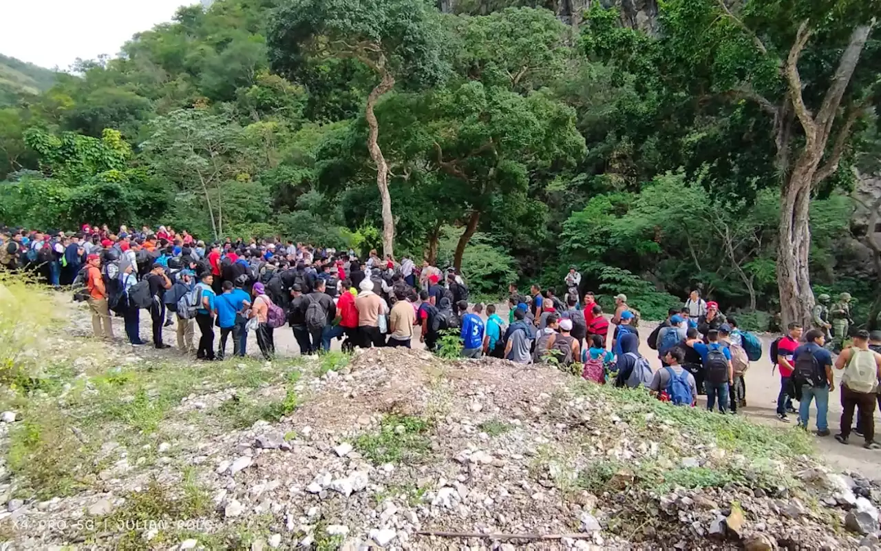 Rescatan a más de 300 migrantes abandonados en campamento clandestino en Chiapas