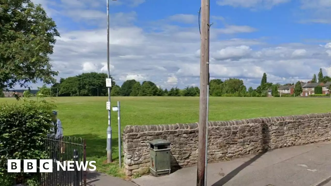 Mansfield Woodhouse: Man attacked and robbed walking his dog in park