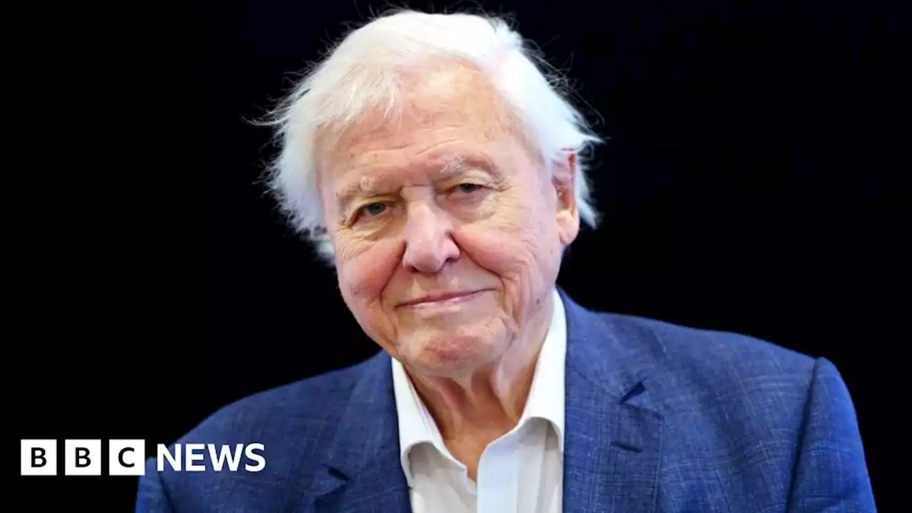 Weymouth climate change protester arrested while Sir David Attenborough dined