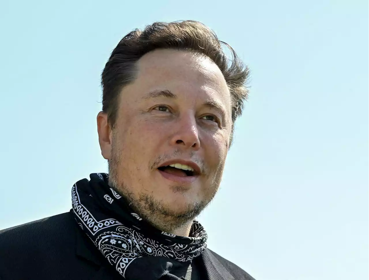 Elon Musk lässt abstimmen: Knappes Rennen bei Trumps Twitter-Rückkehr