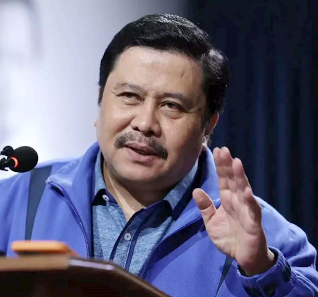 Senator Jinggoy bats for equality in grant of financial incentives to national athletes - BusinessMirror