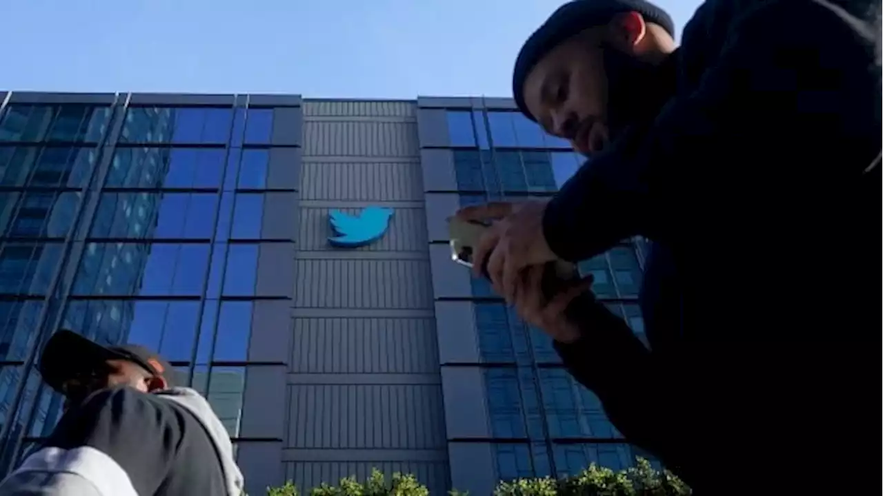 Is this the end of Twitter? Staff exodus has some fearing imminent collapse | CBC News