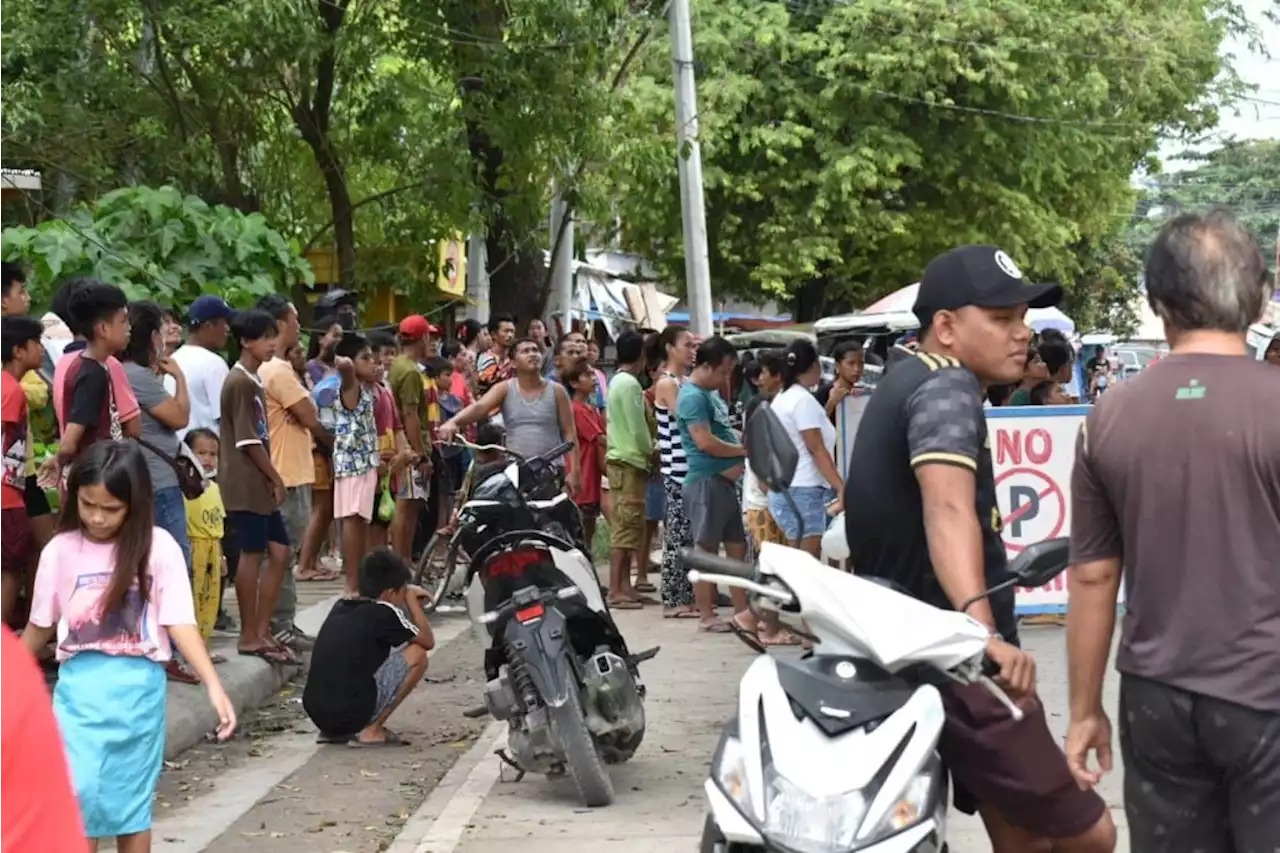 ‘Mentally challenged’ man climbs Acacia tree, rescued in Medellin, Cebu