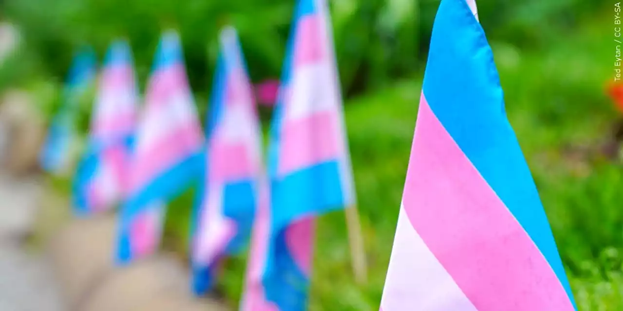 Report: At least 32 transgender people killed in US in 2022