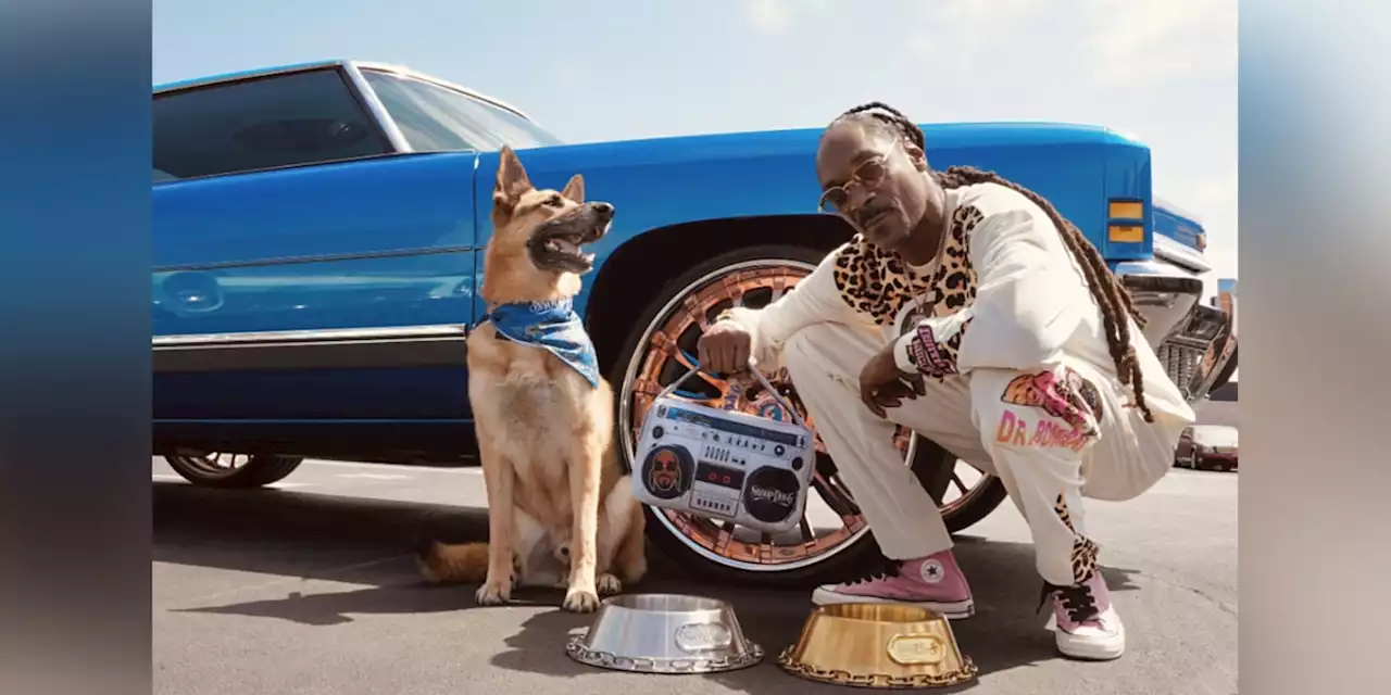 Snoop Dogg launches pet accessory line: Snoop Doggie Doggs