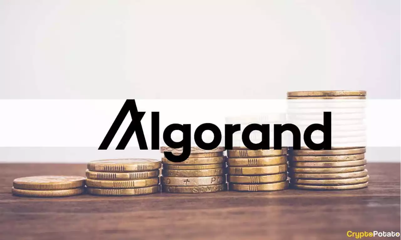 Weekend Watch: ApeCoin Up 7%, Algorand Soars 10%