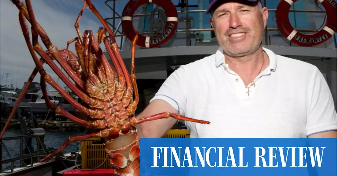 Lobster will be cheap this Christmas, but maybe not for much longer