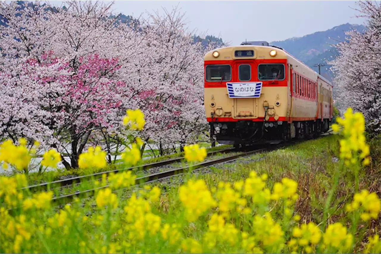 メタバースで懐かしの鉄道が復活、キハ28保存プロジェクト | Forbes JAPAN（フォーブス ジャパン）