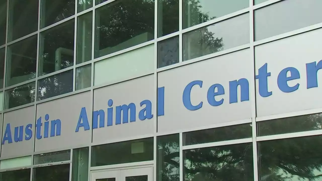 Austin Animal Center restricts intake to emergencies only due to overcrowding