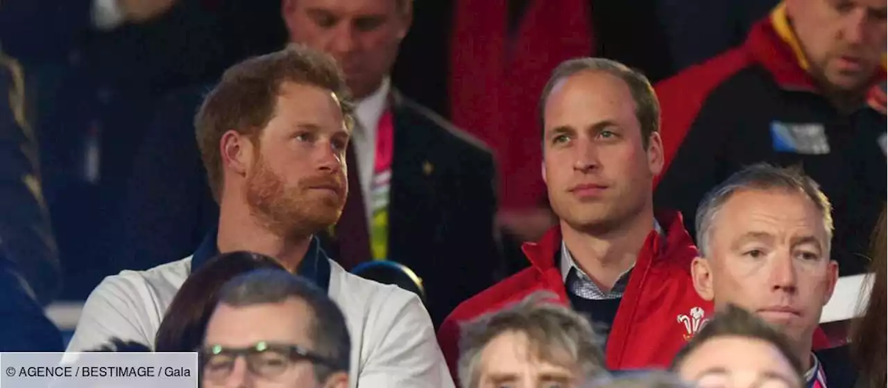 Coupe du monde 2022 : William et Harry, rivaux jusque dans les gradins - Gala