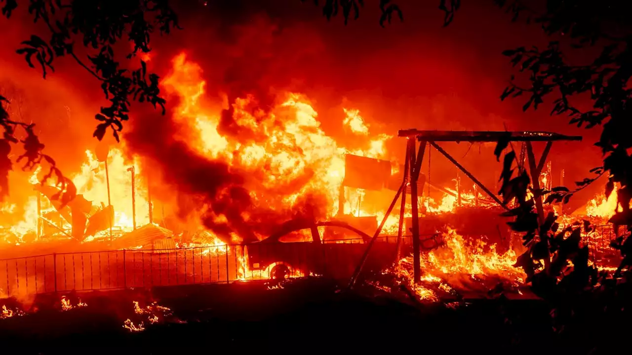 A Broken Twitter Means Broken Disaster Response