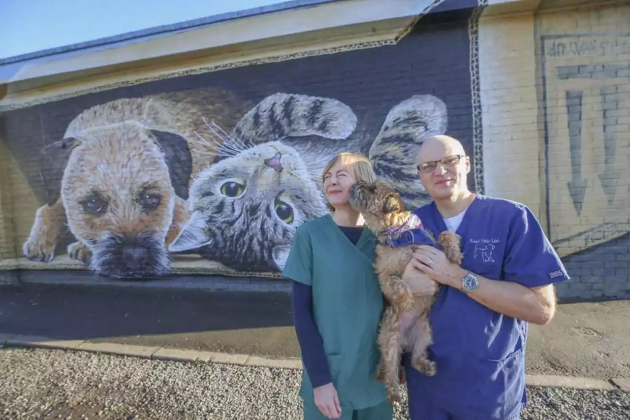 'Heaven only knows we need a smile': New Glasgow mural brightens up Baillieston