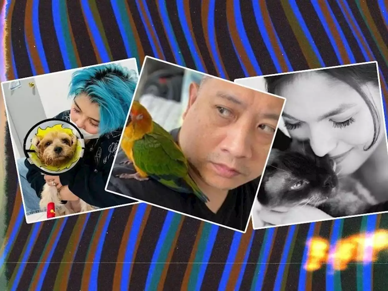 LOOK: Celebrities who have mourned the loss of their beloved pets