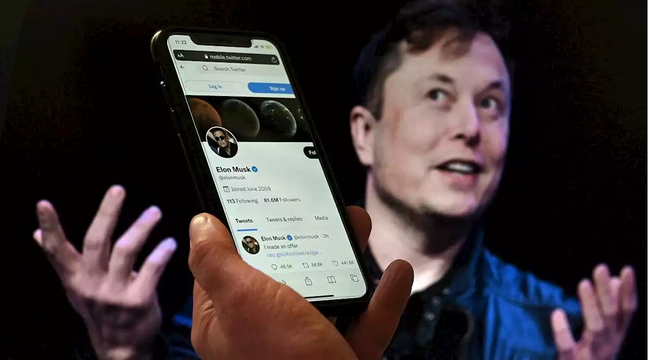 Elon Musk asks Twitter users if Trump should be reinstated